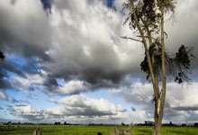 星空体育下载啊-赛地聚焦——荷甲清晨热度飙升；勒沃库森遗憾出局；球迷炸锅；临场指挥获称赞的简单介绍-星空体育下载啊